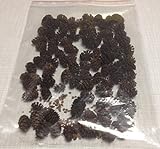 Erlenzapfen ~120Stk. (=50g) Schwarzerle, Alnus glutinosa, black alder cones