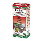 JBL Oodinol Plus 250 Heilmittel gegen Samtkrankheit für Aquarienfische, 100 ml